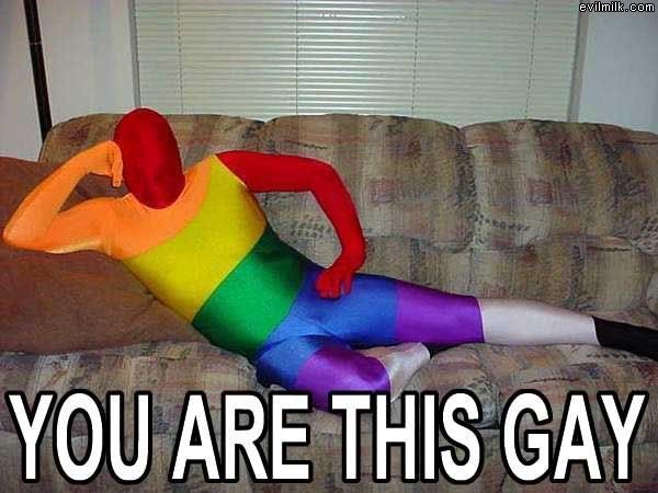 you-are-this-gay-rainbow-suit.jpg