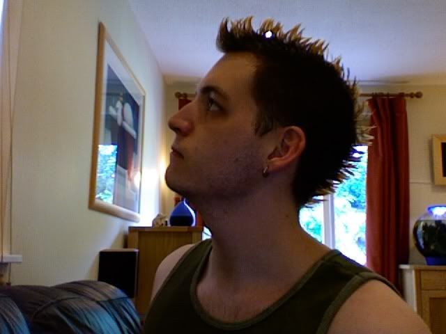 Spiking Hair