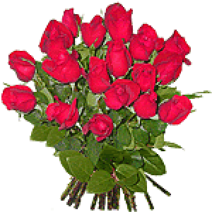 AGIF20ROSAS.gif picture by chumy_2008