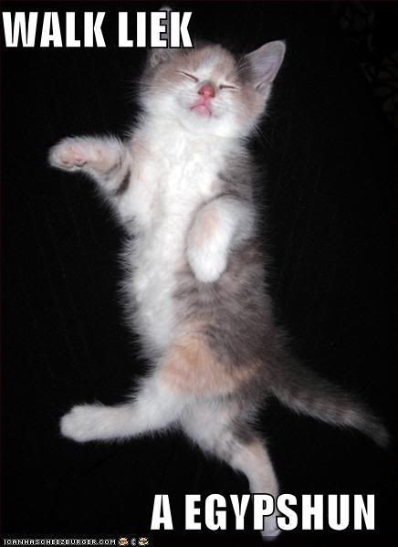 Cat In Egyptian. Cat-