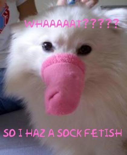 sock.jpg