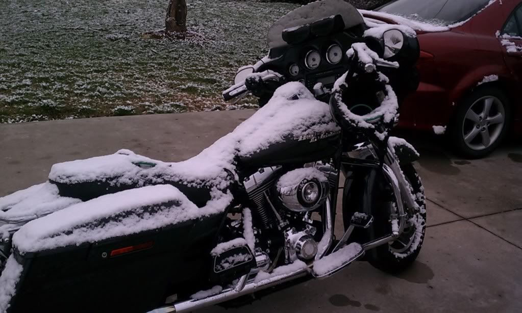 [Image: IMAG0137-2.jpg]