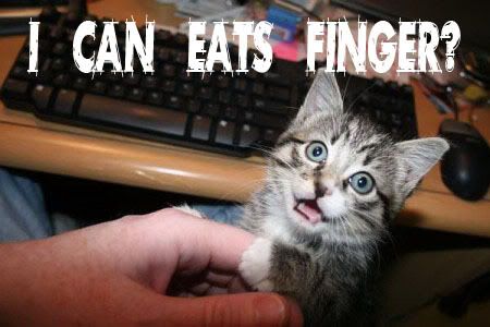 LOLCATSFINGER.jpg