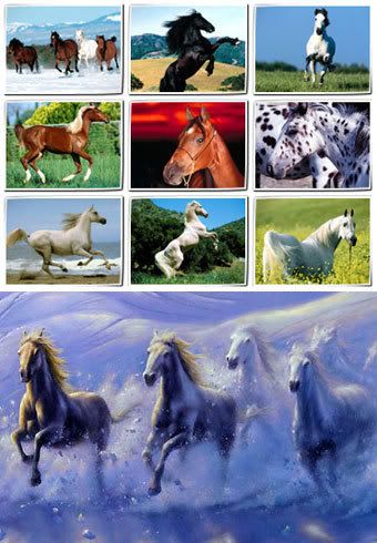 Horses wallpapers
