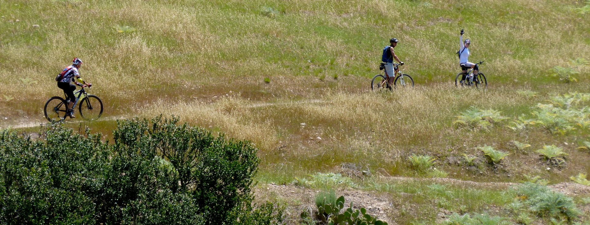 Moonlander-ArchipelagoRide20127-1010489.jpg