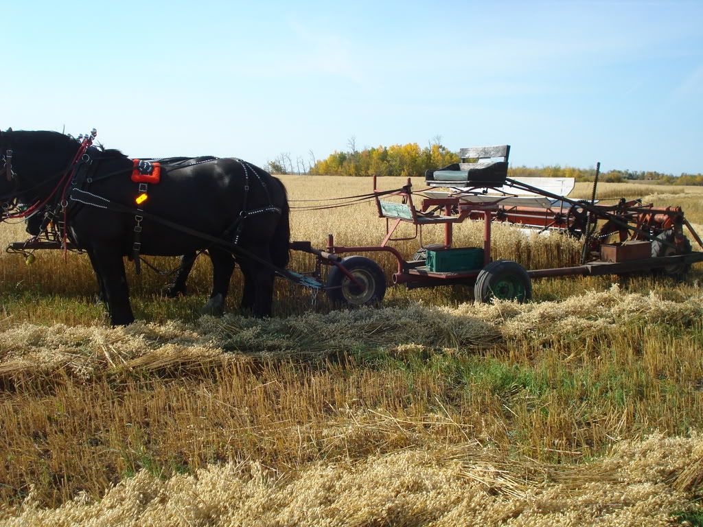 swather008.jpg