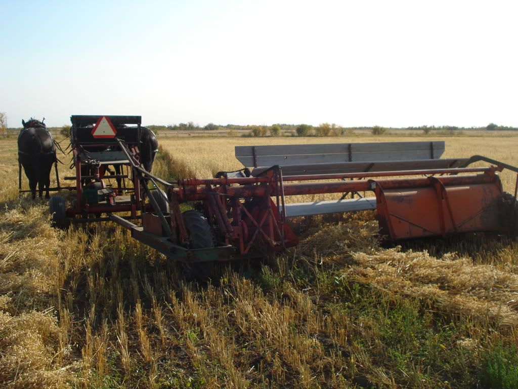 swather011.jpg