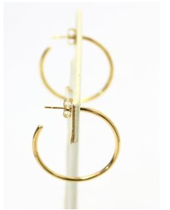 Gold Hoop Earringst