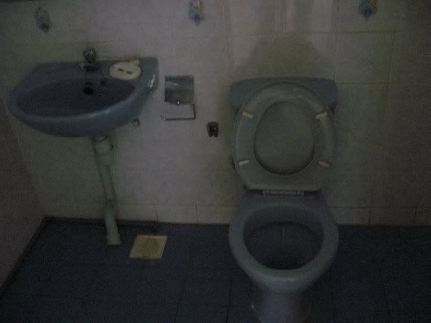 Before-Matertoilet.jpg