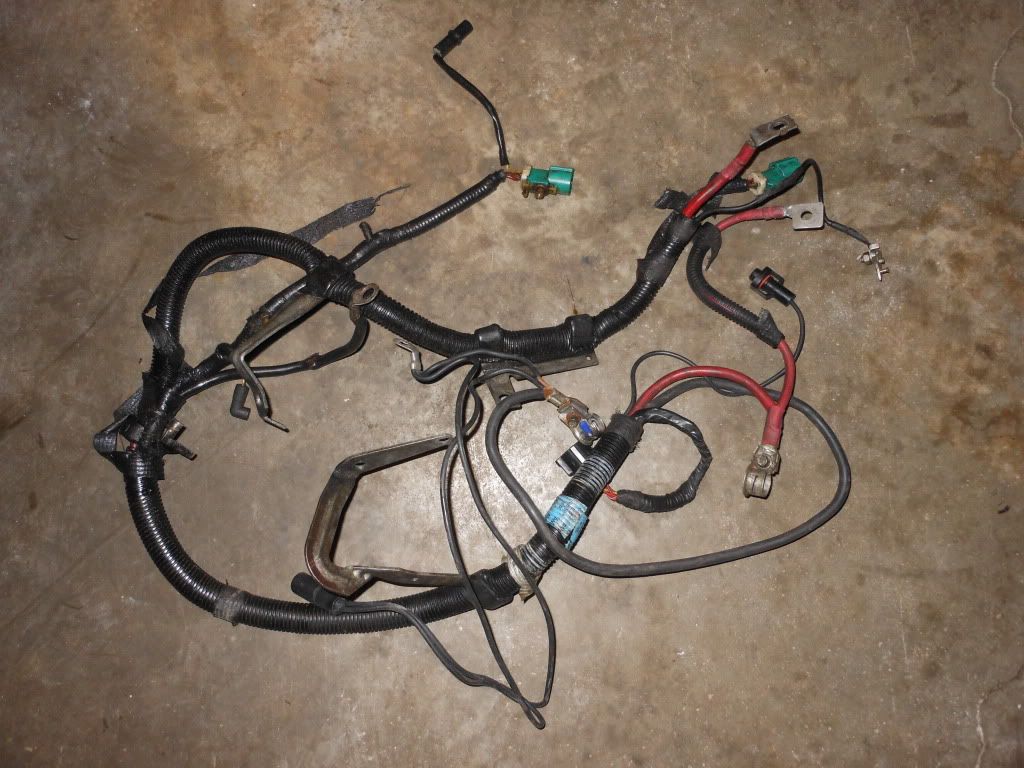 For Sale - 96 Cobra engine wiring | Ford Mustang Forums