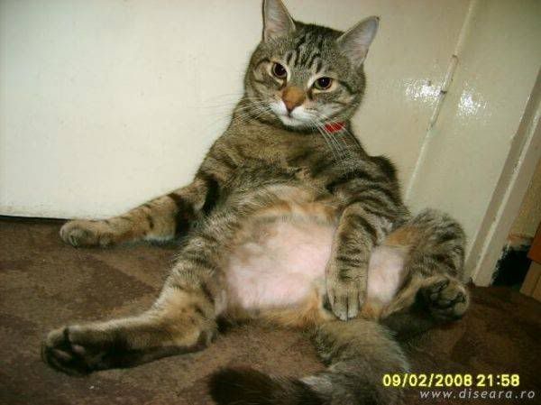 [Image: clip_image008.jpg]