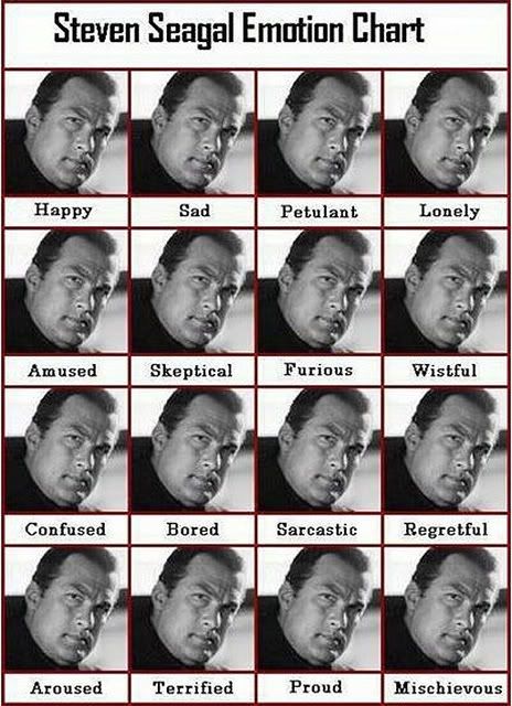 Seagal Emotion Chart. Steven Seagal Emotion Chart
