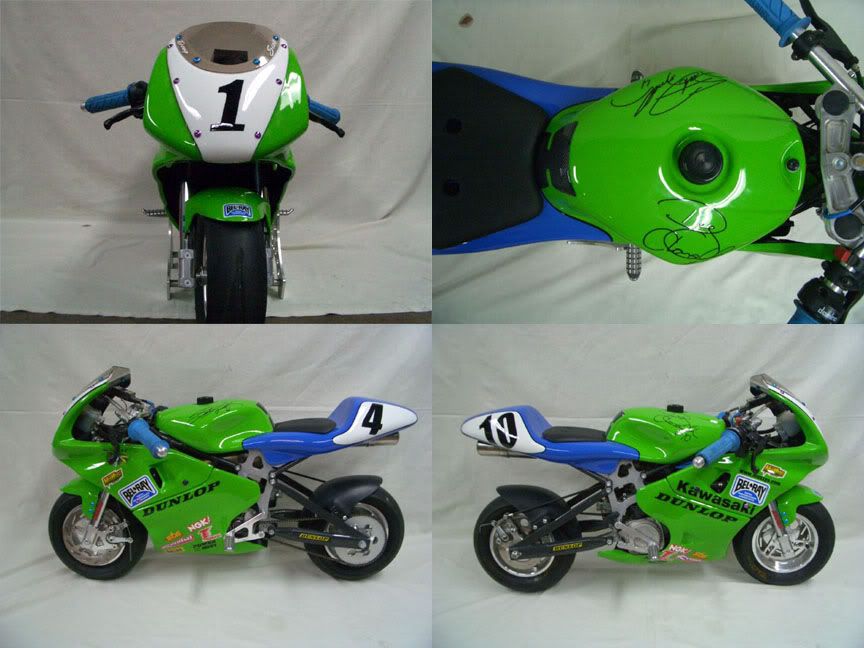 Polini GRC RSR 50cc Race Pocket Bike ZX Forums