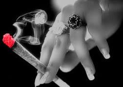 photography. Pictures, Images and Photos