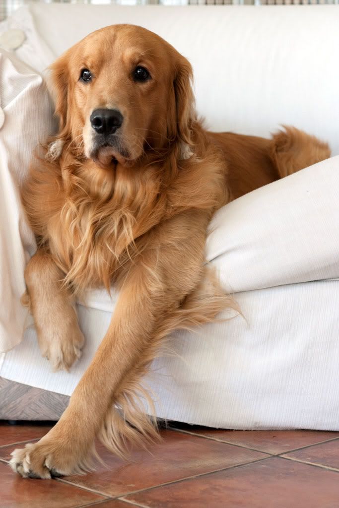 IMAGE: http://i298.photobucket.com/albums/mm263/NicolasRubio/Scott/IMG_3349.jpg