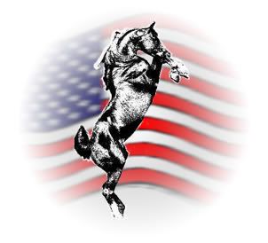 Horse Flag