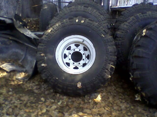 White Spoke Rims