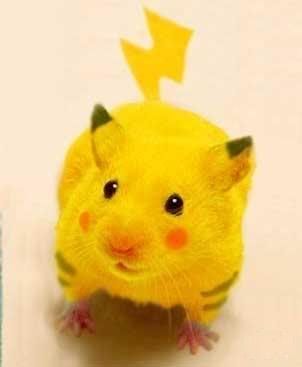 [Image: pikapika.jpg]