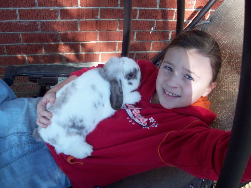 What color would you call these - Rabbits