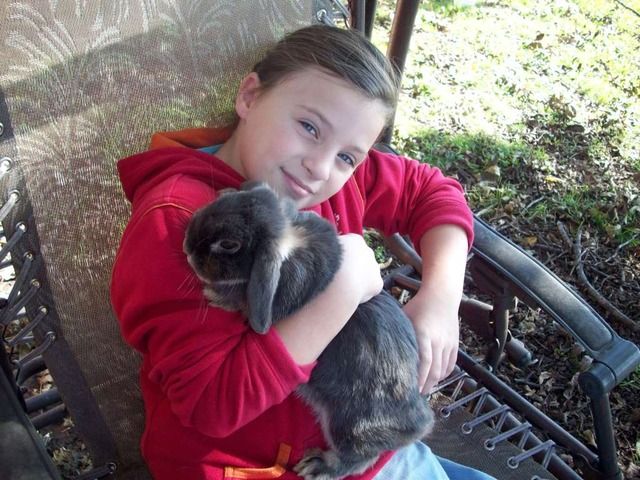 What color would you call these - Rabbits