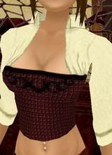 Tasha's corset w/shirt front