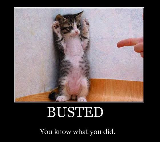 image: busted