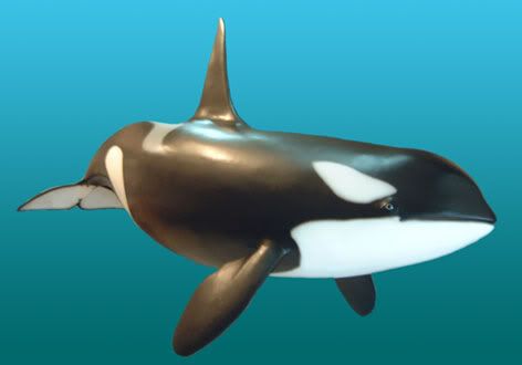 Male-orca-sculpture4.jpg