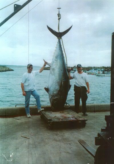 bluefin_tuna_1108_Nova_Scotia.jpg