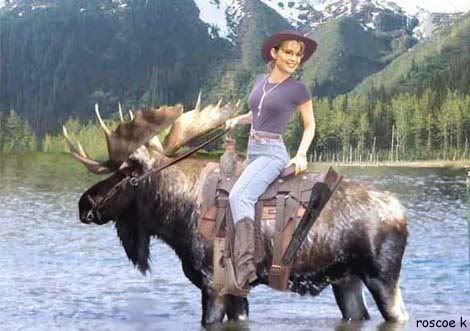 sarah_palin_and_moose2.jpg