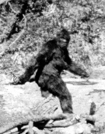 sasquatch01.jpg