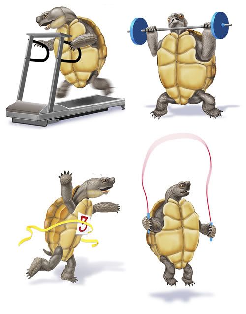 tortoise_race.jpg