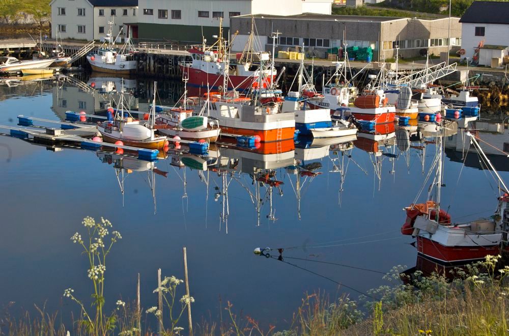 NorthCapeHarborBoats.jpg