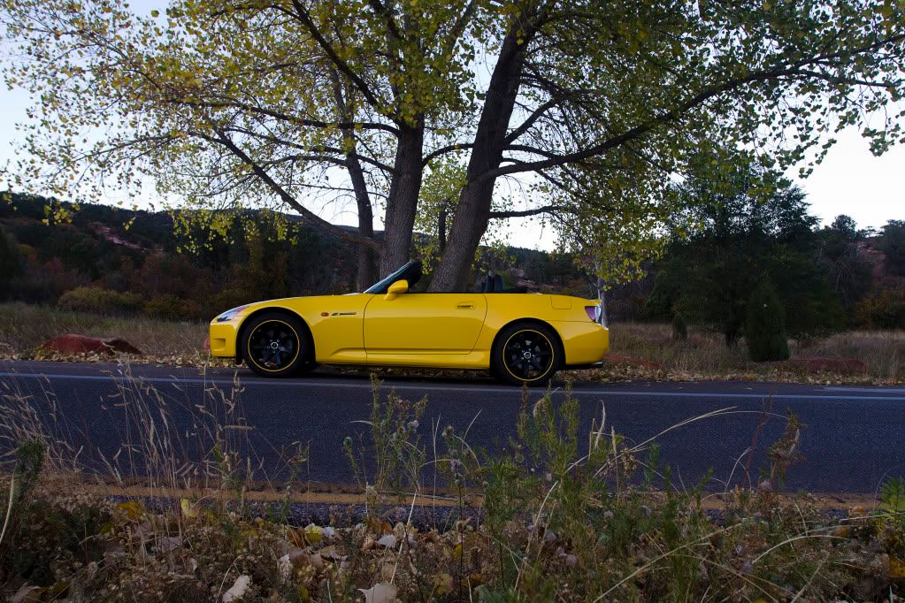 IMAGE: http://i298.photobucket.com/albums/mm273/FocsrallyX/My%20Car%20Pics/Closecarundertreeprofile-1.jpg