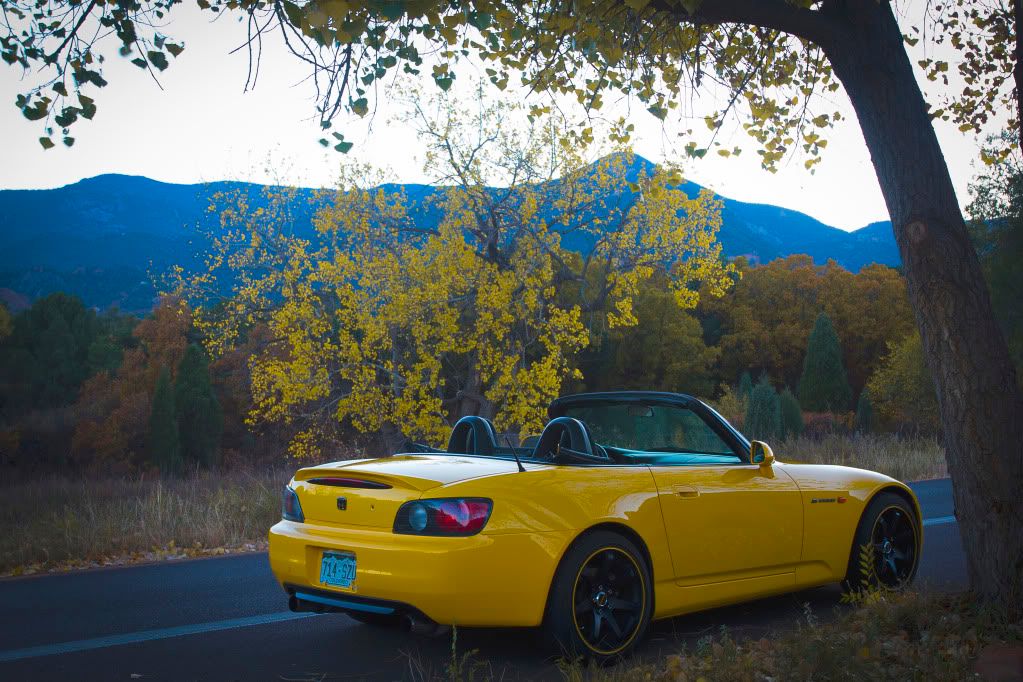 IMAGE: http://i298.photobucket.com/albums/mm273/FocsrallyX/My%20Car%20Pics/Closeundertreemtnrearquarter.jpg