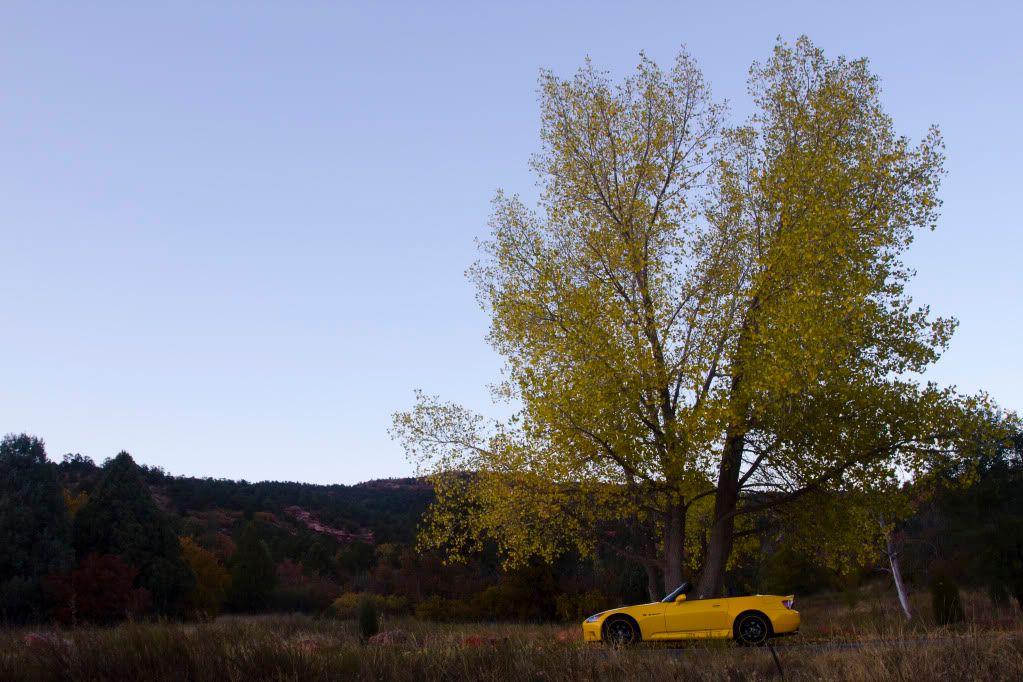 IMAGE: http://i298.photobucket.com/albums/mm273/FocsrallyX/My%20Car%20Pics/FarCarundertreeprofile.jpg