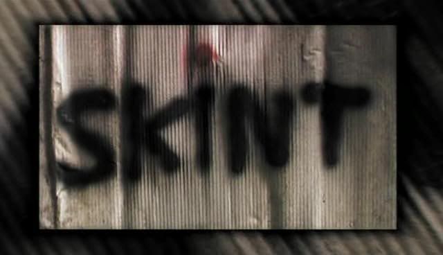 Skint   Series 2 (2006) [PDTV (XviD)] preview 0