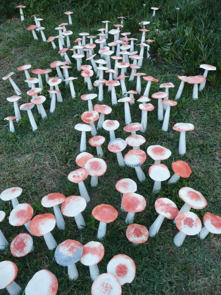 Magic Mushrooms