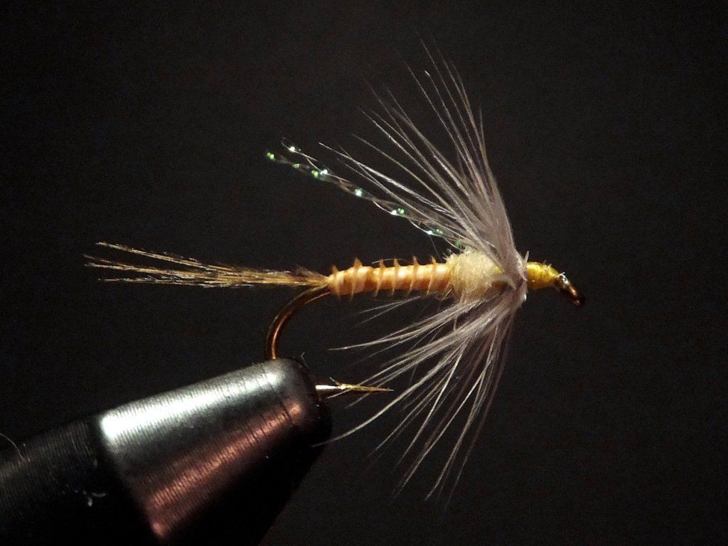 Fly-Fishing Soft-Hackles: Nymphs, Emergers, and Dry Flies : McGee