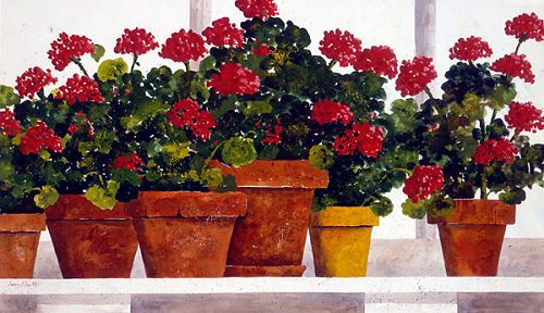 http://i298.photobucket.com/albums/mm277/JeeBee1954/Geraniums.jpg