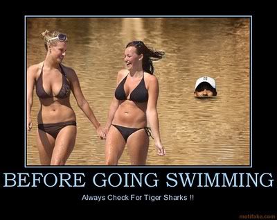 before-going-swimming-tiger-shark-s.jpg