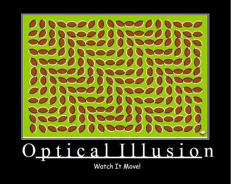 07012008164742OpticalIllusion.jpg