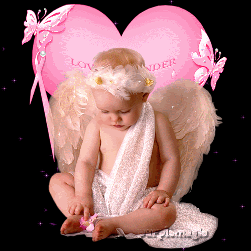  photo 13824594.gif