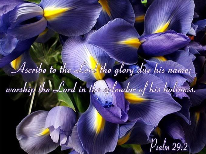 SCRIPTURE Pictures, Images and Photos