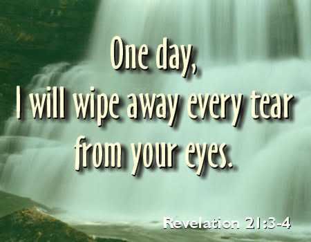 SCRIPTURE Pictures, Images and Photos