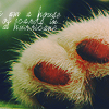 paws_14.png