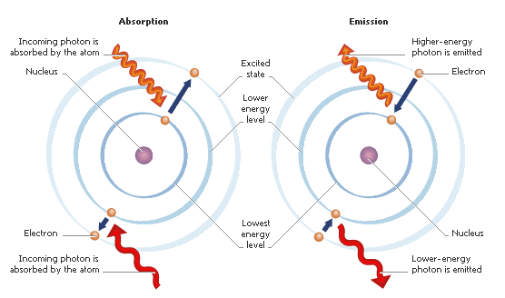 Depiction of an electron within an atom absorbing and then emitting a photon (emission can occur in any direction)