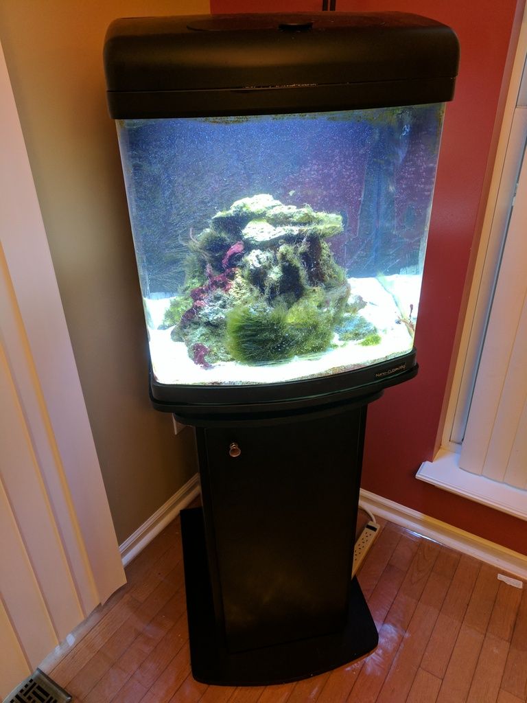 JBJ 28 gallon biocube professional LED with stand | Michigan Reefers