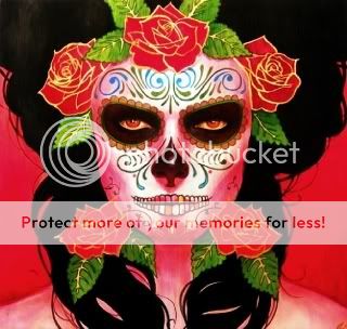 skulls Pictures, Images and Photos